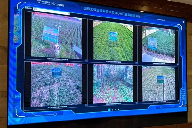 1721115997418032889.jpg 2_看图王.web.jpg