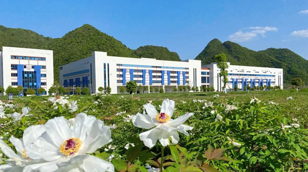 1725327874887037414.jpg 2.jpg